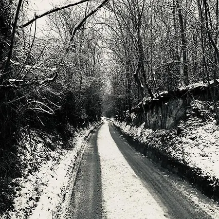 Дом отдыха Hide *