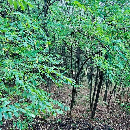 Дом отдыха Hide