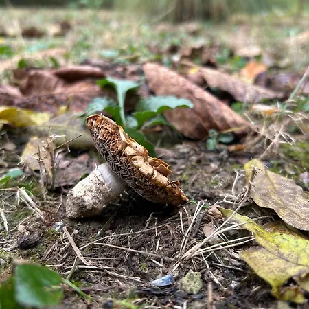 Hide Casa de Férias *