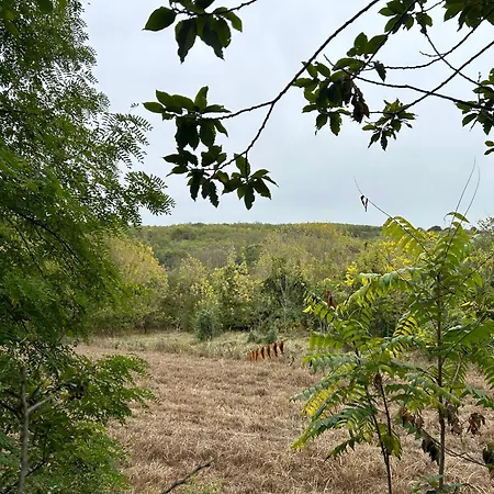 Hide Дом отдыха Шиофок