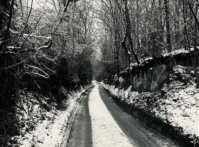 Casa de Férias Hide *