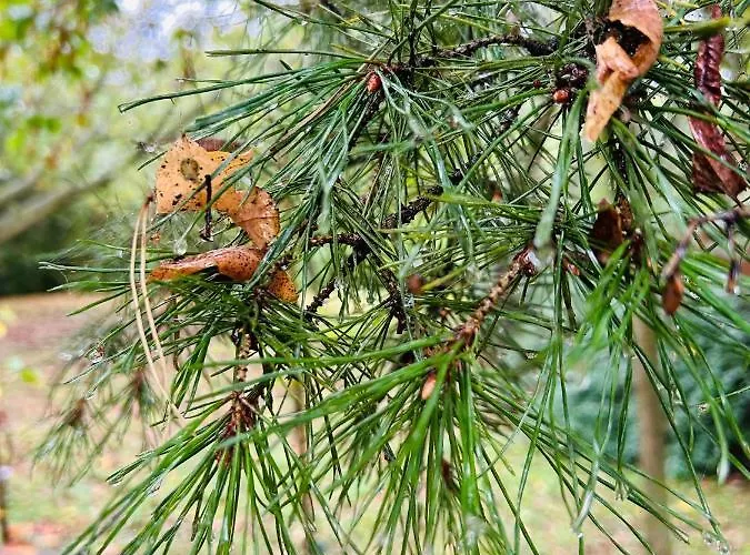 Hébergement de vacances Hide