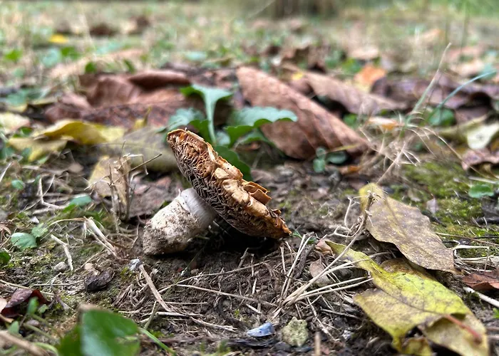Hide Hébergement de vacances *