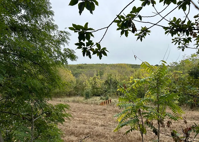 Hide Hébergement de vacances Siófok